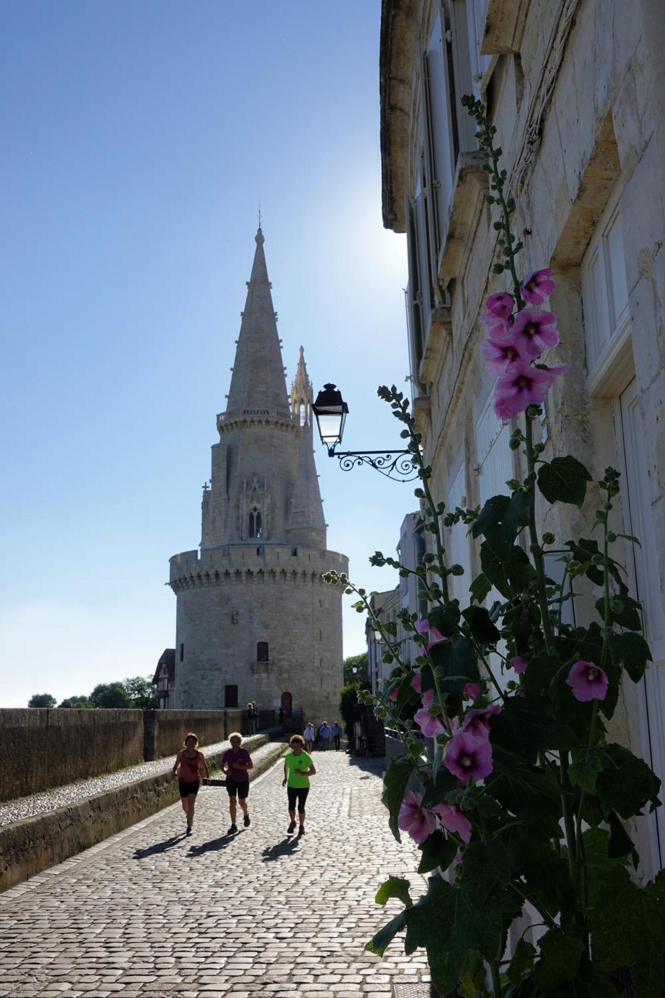 Les Pertuis Rochelais Bed and Breakfast Périgny Εξωτερικό φωτογραφία